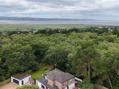 Picture 39